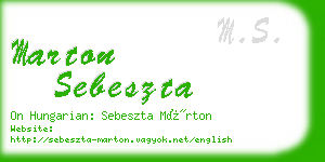 marton sebeszta business card